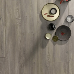 SM708 Улисс Solid Medium