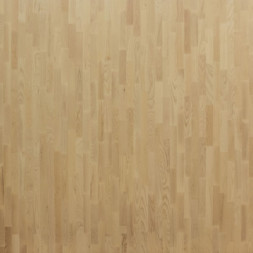 ASH GREGALE Focus Floor (3,41)