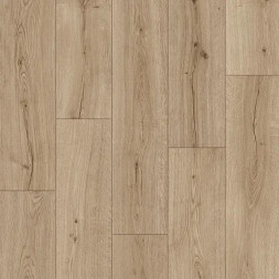 IM8603 Дуб Субтропический