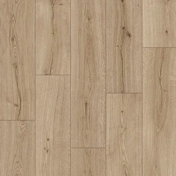 IM8603 Дуб Субтропический