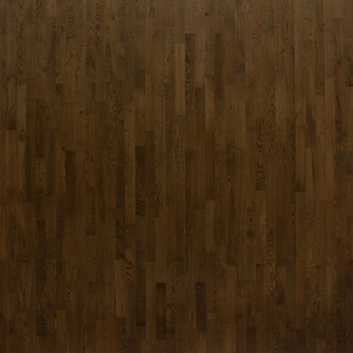 OAK SANTA ANA Focus Floor (3,41)