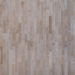 ASH TWISTER Focus Floor (3,41)