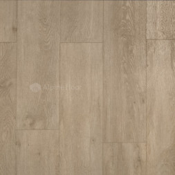 ECO 11-5 Камфора