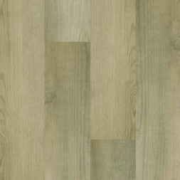 62W930 Дуб Канадский лес градиент Natural