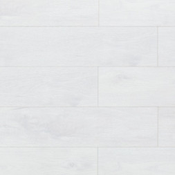 AF4031SPC Space