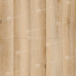 ECO 2-11 Дуб Самерсет