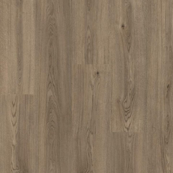 IMM61079 Дуб Колумбия