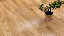 OAK GRAND 138 MODERN