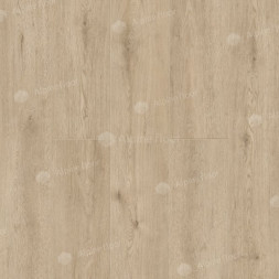 1003-1 Abbi LVT