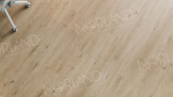 1003-1 Abbi LVT