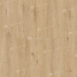 1003-3 Dor LVT