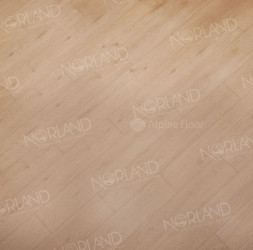 1003-3 Dor LVT