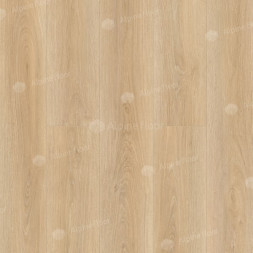 1003-6 Eli LVT
