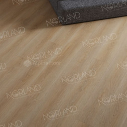 1003-6 Eli LVT