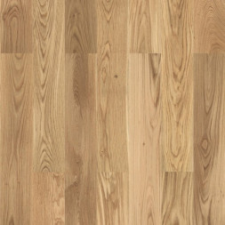 Дуб Барон браш Step XL (1,182)