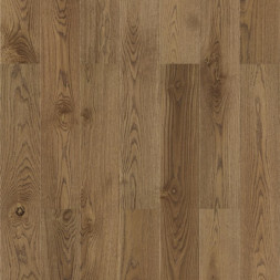 Дуб Барон Сиена браш Step XL (0,984)