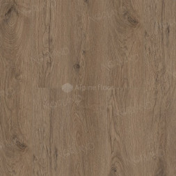 1003-17 Merian LVT
