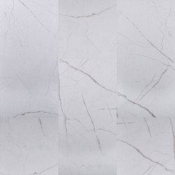 9101 Ivory Rock