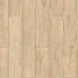 NEOM Арт. 504498009