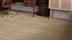 1003-21 Rett LVT