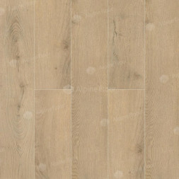 ECO 7-25 Дуб Фелис