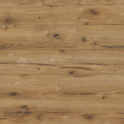 62750 Дуб Эрг Arteo 8 M WR