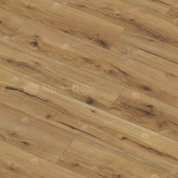 62750 Дуб Эрг Arteo 8 M WR