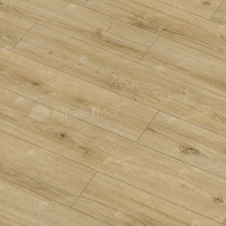62753 Дуб Каракум Arteo 8 M WR