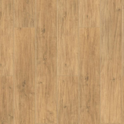 SEDGWICK Арт. 504478003