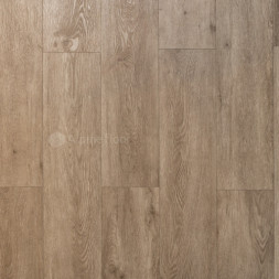 ECO 11-907 Карите