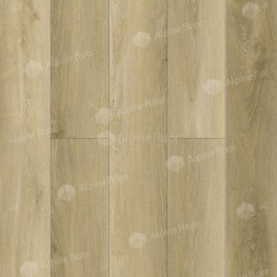 ECO 9-13 Тихий лес