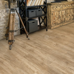 ECO 11-503 Камфора