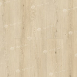 ECO 11-26 Кипарисовая