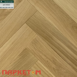 Дуб Гирвас Стародуб