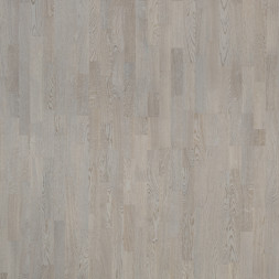 Дуб Атлас Focus Floor Smart