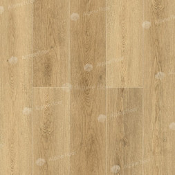ECO 11-31 Сьерра
