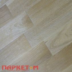 Дуб Василеостровский Стародуб